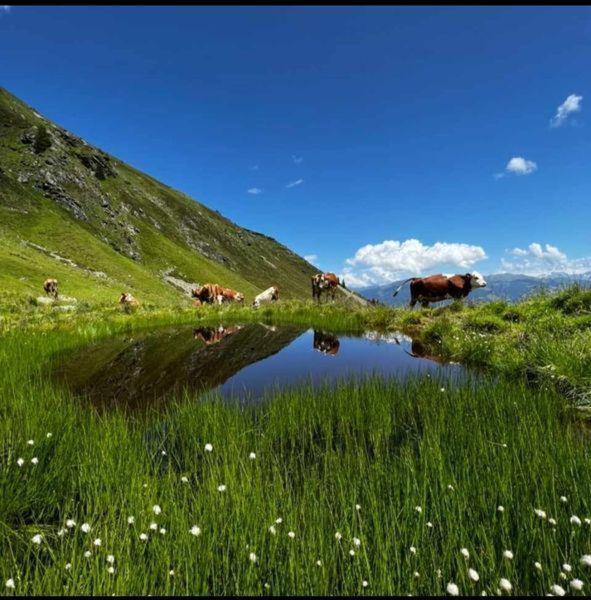 Das Zauberhaft Mayrhofen Exterior foto